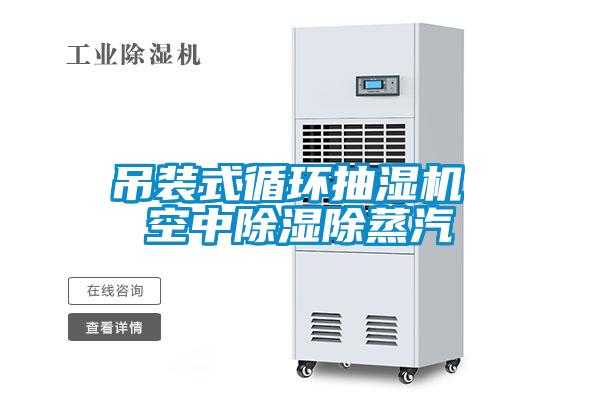 吊装式循环抽湿机 空中香蕉视频一区二区除蒸汽