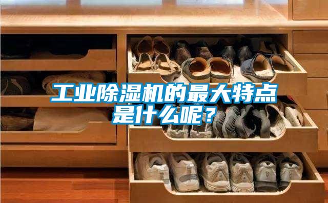 工业香蕉视频一区二区机的最大特点是什么呢？