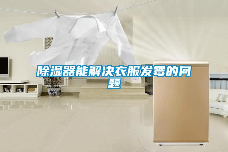 香蕉视频一区二区器能解决衣服发霉的问题