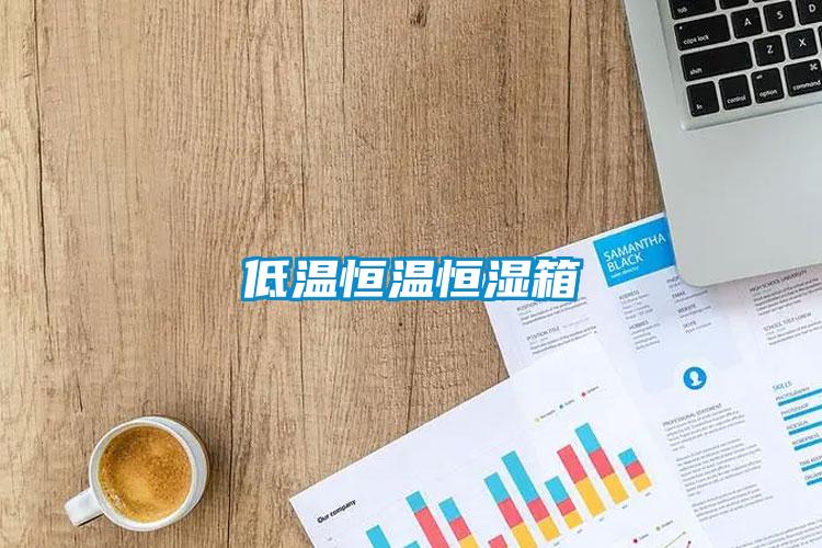 低温恒温恒湿箱