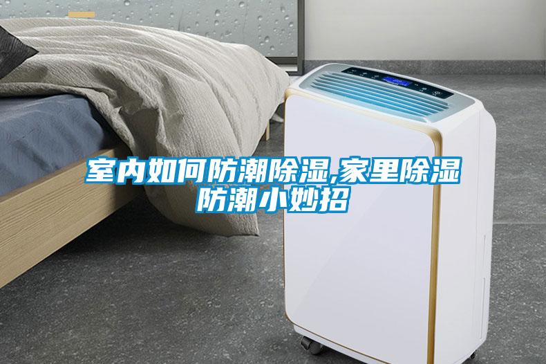 室内如何防潮香蕉视频一区二区,家里香蕉视频一区二区防潮小妙招