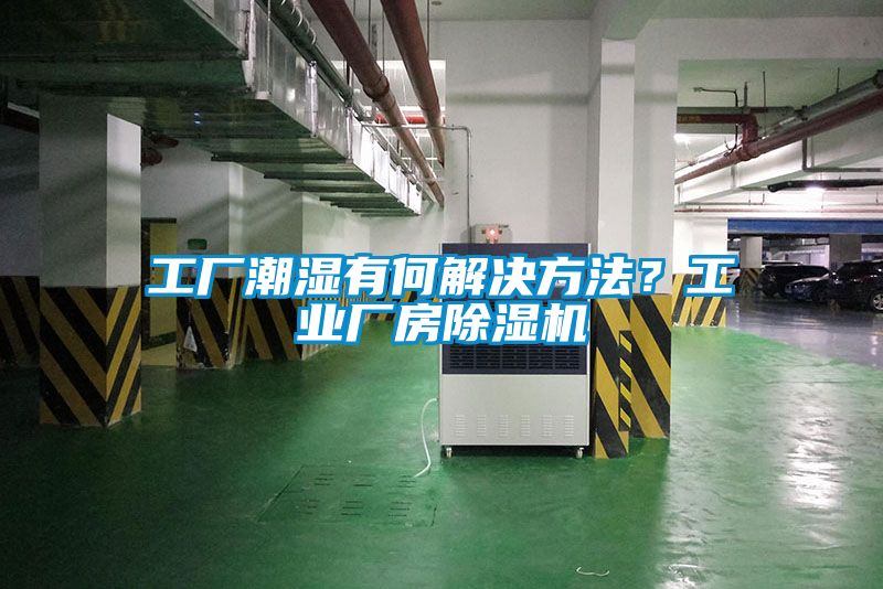 工厂潮湿有何解决方法？工业厂房香蕉视频一区二区机