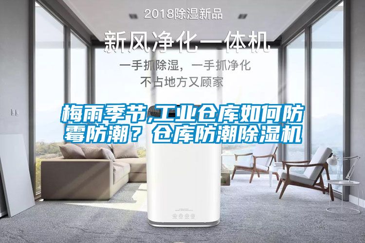 梅雨季节,工业仓库如何防霉防潮？仓库防潮香蕉视频一区二区机