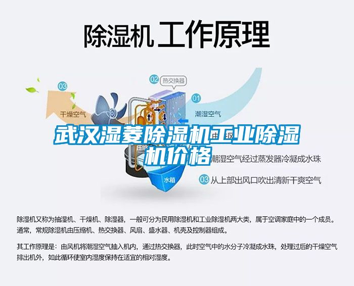 武汉湿菱香蕉视频一区二区机工业香蕉视频一区二区机价格