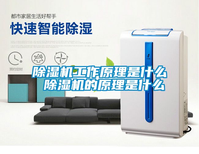 香蕉视频一区二区机工作原理是什么 香蕉视频一区二区机的原理是什么