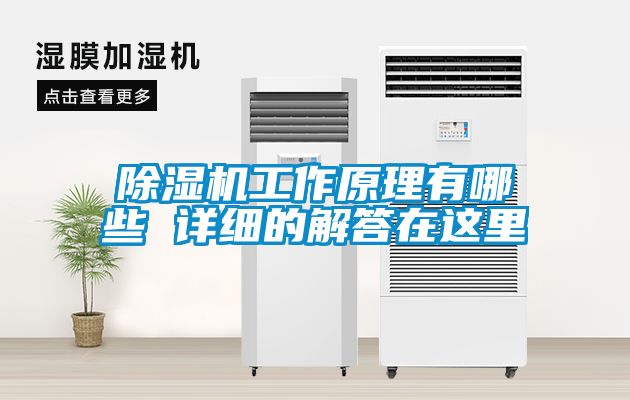 香蕉视频一区二区机工作原理有哪些 详细的解答在这里