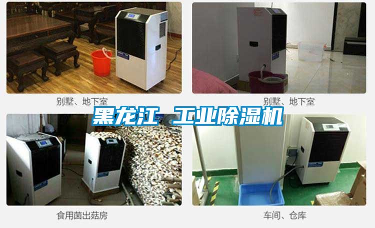 黑龙江 工业香蕉视频一区二区机
