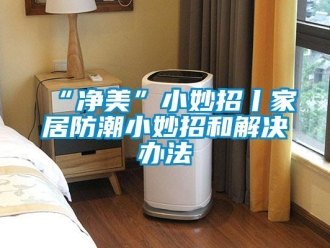 企业香蕉视频APP下载地址“净美”小妙招丨家居防潮小妙招和解决办法