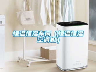 知识百科恒温恒湿车间（恒温恒湿空调机）