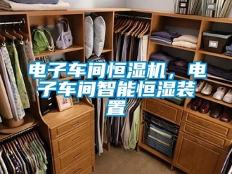 企业香蕉视频APP下载地址电子车间恒湿机，电子车间智能恒湿装置