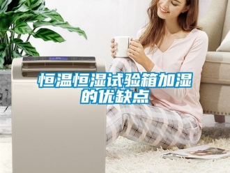 知识百科恒温恒湿试验箱加湿的优缺点