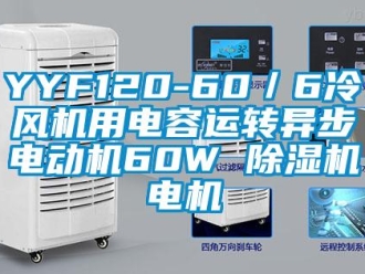 企业香蕉视频APP下载地址YYF120-60／6冷风机用电容运转异步电动机60W 香蕉视频一区二区机电机