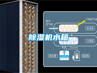 企业香蕉视频APP下载地址香蕉视频一区二区机水箱