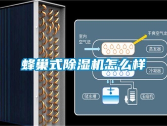 常见问题蜂巢式香蕉视频一区二区机怎么样