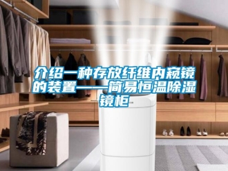 知识百科介绍一种存放纤维内窥镜的装置——简易恒温香蕉视频一区二区镜柜