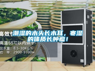 企业香蕉视频APP下载地址潮湿的木头长木耳，寒湿的体质长肿瘤！