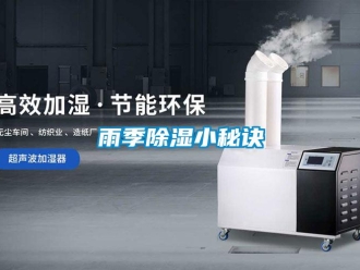 知识百科雨季香蕉视频一区二区小秘诀