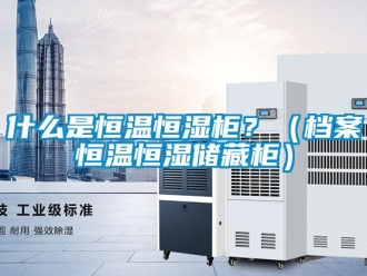 知识百科什么是恒温恒湿柜？（档案恒温恒湿储藏柜）