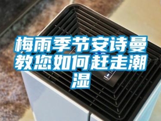 企业香蕉视频APP下载地址梅雨季节香蕉视频在线播放教您如何赶走潮湿