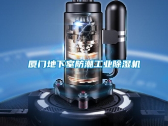 常见问题厦门地下室防潮工业香蕉视频一区二区机