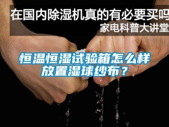 知识百科恒温恒湿试验箱怎么样放置湿球纱布？