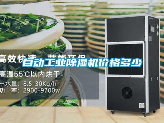 知识百科自动工业香蕉视频一区二区机价格多少