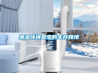 企业香蕉视频APP下载地址潮湿环境是虫的生存良地