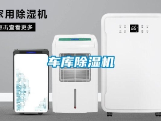 企业香蕉视频APP下载地址车库香蕉视频一区二区机