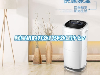 企业香蕉视频APP下载地址香蕉视频一区二区机的好处和坏处是什么？