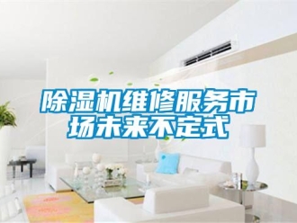 企业香蕉视频APP下载地址香蕉视频一区二区机维修服务市场未来不定式