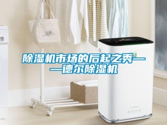 企业香蕉视频APP下载地址香蕉视频一区二区机市场的后起之秀——德尔香蕉视频一区二区机