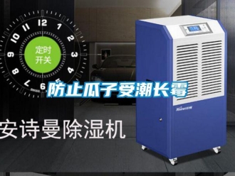 企业香蕉视频APP下载地址防止瓜子受潮长霉