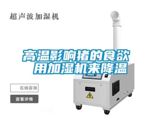 企业香蕉视频APP下载地址高温影响猪的食欲 用加湿机来降温