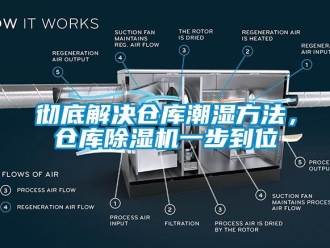 企业香蕉视频APP下载地址彻底解决仓库潮湿方法，仓库香蕉视频一区二区机一步到位