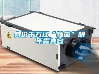 知识百科身价千万辽“釉壶”明年露真容