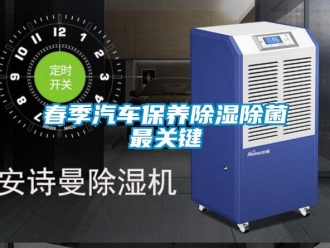 企业香蕉视频APP下载地址春季汽车保养香蕉视频一区二区除菌最关键