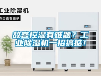 企业香蕉视频APP下载地址故宫控湿有难题？工业香蕉视频一区二区机一招搞掂！