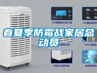 企业香蕉视频APP下载地址春夏季防霉战家居总动员