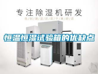知识百科恒温恒湿试验箱的优缺点