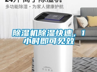 企业香蕉视频APP下载地址香蕉视频一区二区机香蕉视频一区二区快速，1小时即可见效