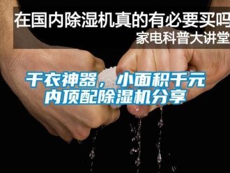 企业香蕉视频APP下载地址干衣神器，小面积千元内顶配香蕉视频一区二区机分享