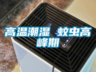 企业香蕉视频APP下载地址高温潮湿 蚊虫高峰期