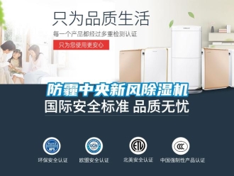 企业香蕉视频APP下载地址防霾中央新风香蕉视频一区二区机