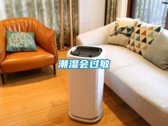 企业香蕉视频APP下载地址潮湿会过敏