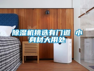 企业香蕉视频APP下载地址香蕉视频一区二区机挑选有门道 小身材大用处