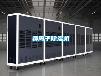 企业香蕉视频APP下载地址负离子香蕉视频一区二区机