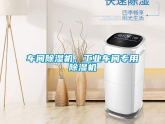 企业香蕉视频APP下载地址车间香蕉视频一区二区机，工业车间专用香蕉视频一区二区机