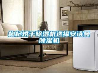 企业香蕉视频APP下载地址枸杞烘干香蕉视频一区二区机选择香蕉视频在线播放香蕉视频一区二区机