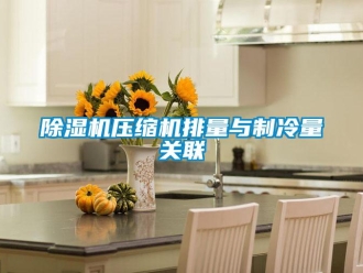 企业香蕉视频APP下载地址香蕉视频一区二区机压缩机排量与制冷量关联