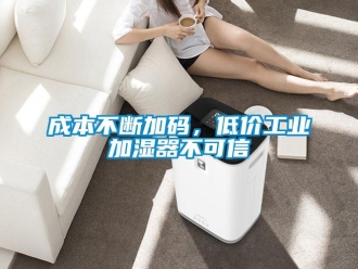 企业香蕉视频APP下载地址成本不断加码，低价工业加湿器不可信